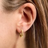 image:imageRossSimons 14kt Yellow Gold Hoop Earrings