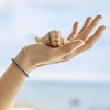 image:imageRossSimons 790 ct tw Sapphire Tennis Bracelet in Sterling SilverSapphire
