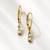 image:imageRossSimons 020 ct tw Diamond 2Stone Drop Earrings in 10kt Yellow Gold