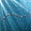 image:imageRossSimons Sea Life AnkletWhite